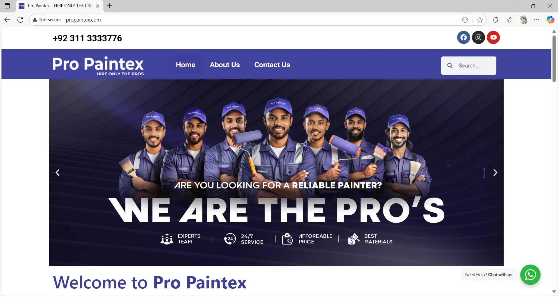 Pro-Paintex
